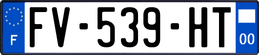 FV-539-HT