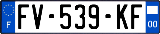FV-539-KF