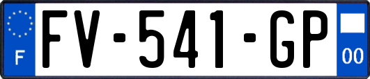 FV-541-GP