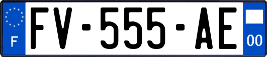 FV-555-AE