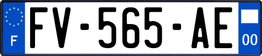 FV-565-AE