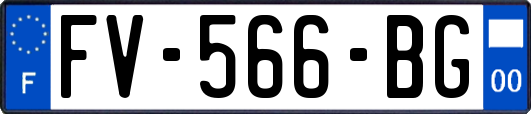 FV-566-BG
