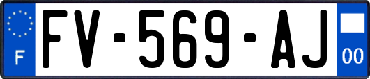 FV-569-AJ