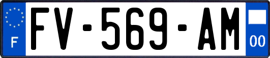 FV-569-AM
