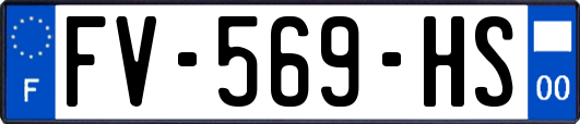 FV-569-HS