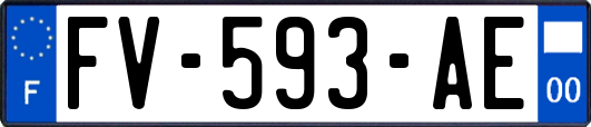 FV-593-AE