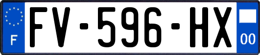 FV-596-HX