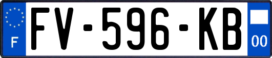 FV-596-KB