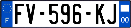 FV-596-KJ