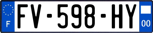 FV-598-HY