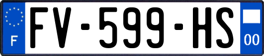 FV-599-HS