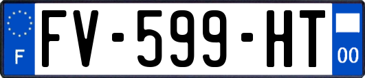 FV-599-HT