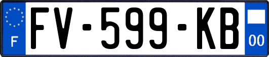 FV-599-KB