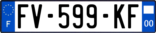 FV-599-KF