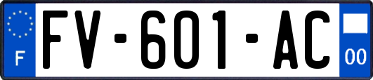 FV-601-AC