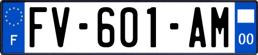 FV-601-AM