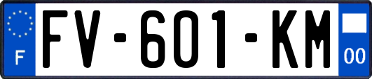 FV-601-KM
