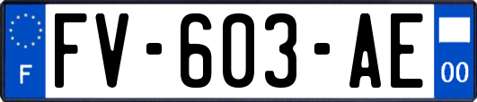 FV-603-AE