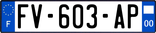 FV-603-AP