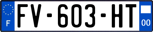 FV-603-HT
