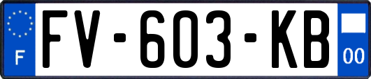 FV-603-KB
