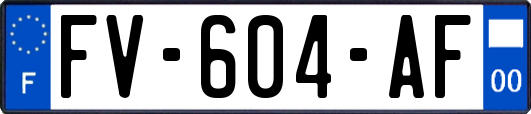 FV-604-AF