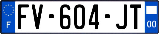 FV-604-JT