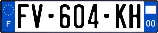 FV-604-KH