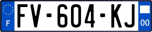 FV-604-KJ