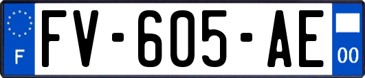FV-605-AE