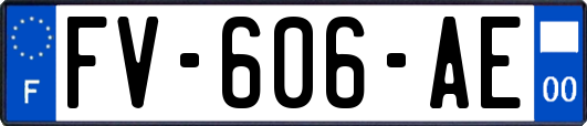 FV-606-AE