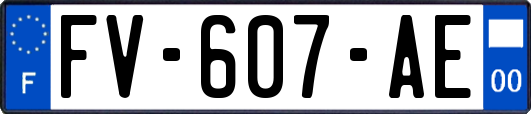 FV-607-AE