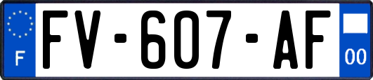 FV-607-AF