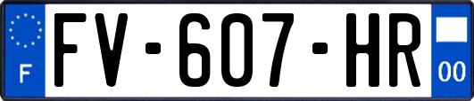 FV-607-HR