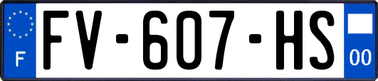 FV-607-HS