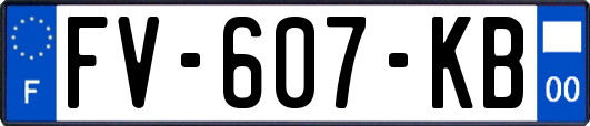FV-607-KB