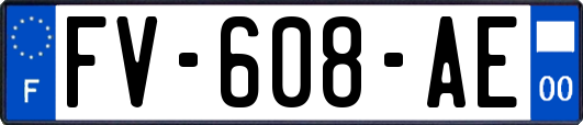 FV-608-AE