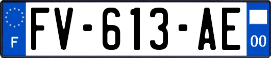 FV-613-AE