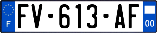 FV-613-AF