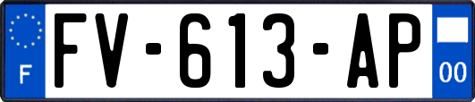 FV-613-AP