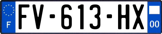 FV-613-HX
