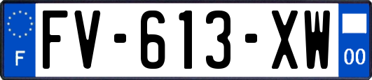 FV-613-XW