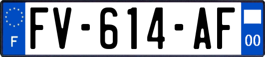 FV-614-AF