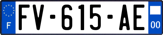 FV-615-AE