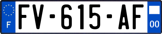 FV-615-AF