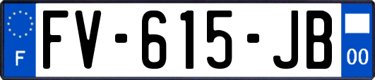 FV-615-JB
