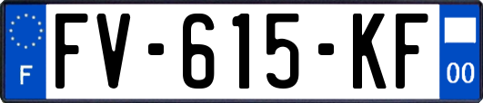 FV-615-KF