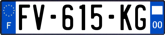 FV-615-KG