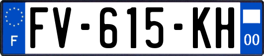 FV-615-KH