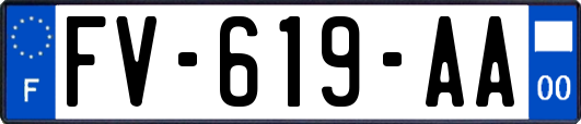 FV-619-AA